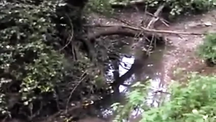 Ormanda femdom strapon lanet.