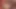 Twistys - yakın vahşi cennette oynadığı katsuni