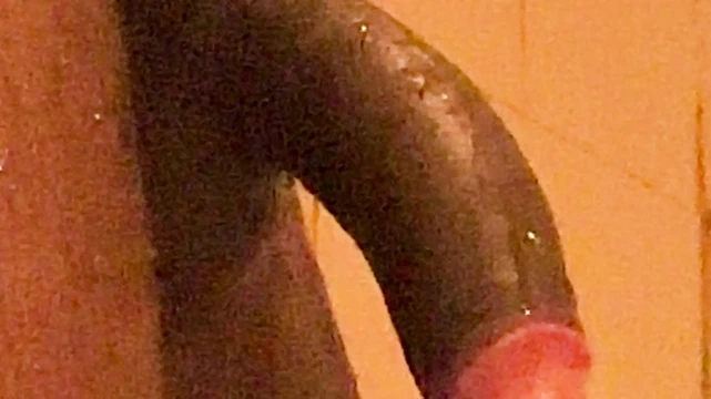 Etiyopyalı çift evde sert sikişiyor porno videoları