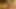 Seksi bilgisayar inek parmakları küçük yarağıyla değiştiriliyor