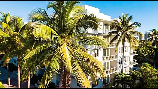 Ajan Sherine bölüm 3