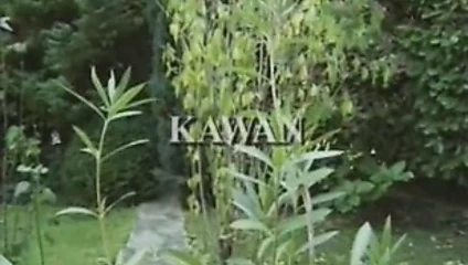 Encore merci pour le chocolat