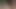 Singapore ssbbw şişman kedi gösterme benim için