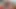 Belden bağlamalı dildo ve sonra sert ıslak lezbiyen sikişi