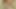 Pov: kıçıma bir şeyler sokmamı söylüyor