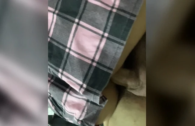 Mükemmel memeli 18 yaşındaki bir kızın götüne biniyor. Gerçek ev yapımı video.