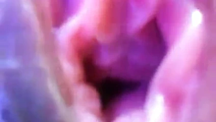 içinde hanımları KEDİ