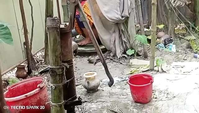 Secret Affair with My Sister-in-Law in the Backyard