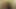 Seksi kızlar sikişmek için oda kiralıyor