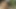 Penny pax sünnetsiz kalın yarak alex legend'dan dışarıda anal dölleme!