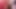 145 - sürtük Fransız beyaz orta yaşlı seksi kadın