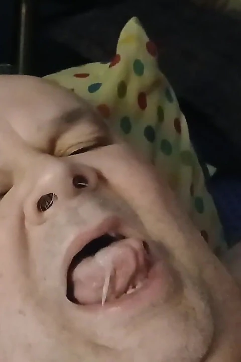 Çok döl
