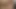Küçük memeli sarışın genç kız solo videoda amını oynuyor
