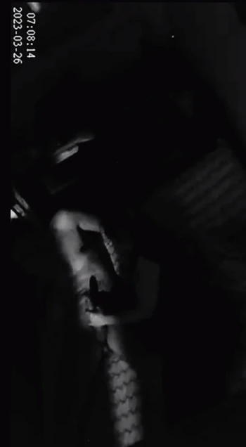 Неверную жену сняли на видео минет любовника перед камерой дома