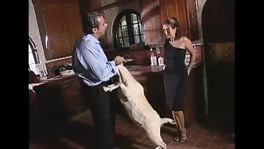 Dünya çapında kötü bir deneyim !!! - cilt #40