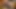 Letsgodirty.com - sarışın, notgeil, fickbar