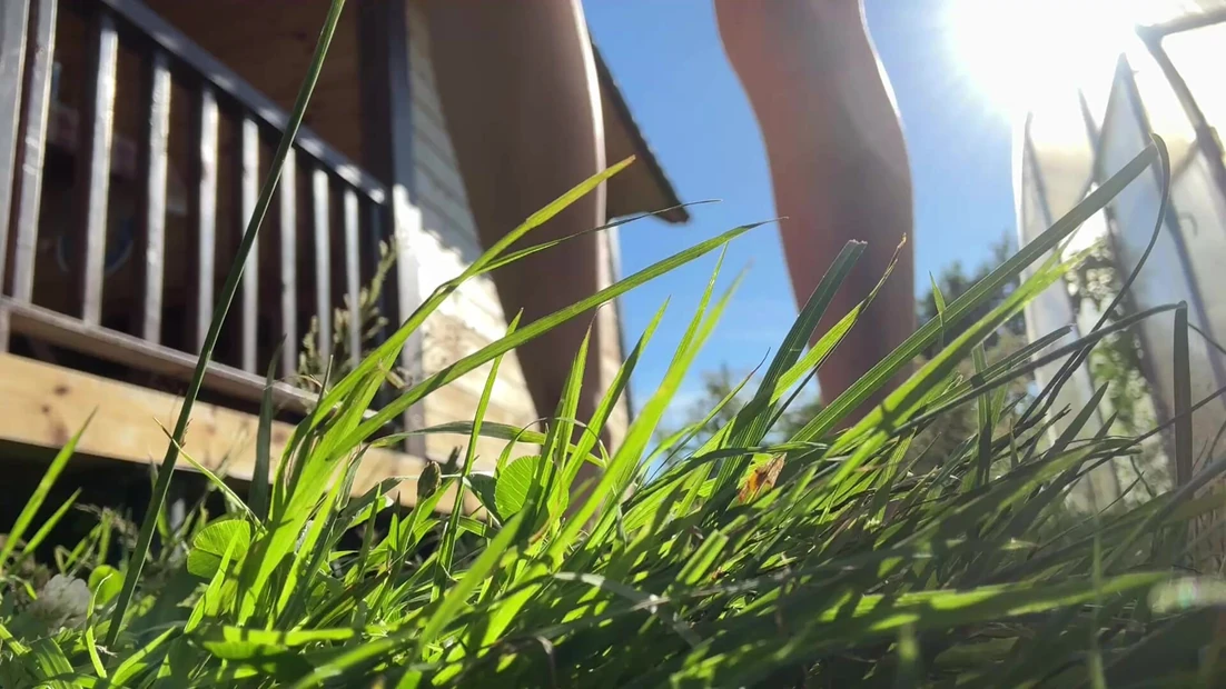 Гиганта, кряк, ты