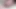 Damlayan precum, çiş yaparken ve cumming sonra yarı sert bir inilti ile