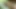 Kayınbiraderi seks videosu izlerken ve amını parmaklarken yengeyle ateşli seks