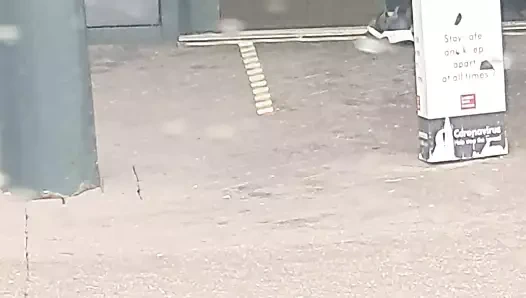 Slutty Muslim has sex in the car with Pakistan boy