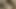 Diverse Amateur Compilation: Oral and Penetrative Adventures