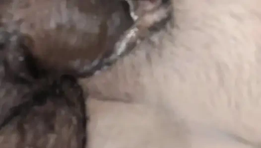 Jethani geceleri arandı ve eğlenceden azaldı.