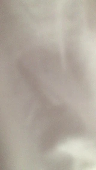 alman kız arkadaşı ile ev yapımı