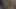 Korkak olduğunu her zaman aç için raw horoz