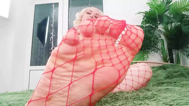 Ayak fetişi videosu: file külotlu çorap (arya grander) sıcak seksi sarışın milf femdom – pov