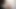 Peri yuki - anal okşamalar ve gül yaprakları