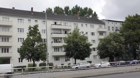 Yoğun vahşi zevk vol.3 (tam film)