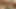 Seksi kız iki yarak deliklerini sikip boşalmak için eğiliyor