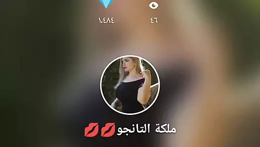 Tango Egypt Sarmota nisabat haramiat bint kalb