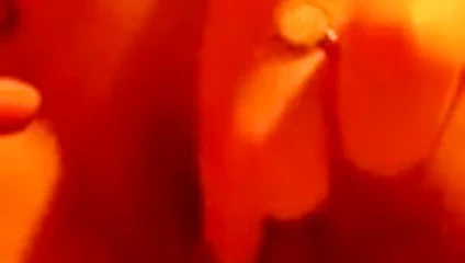 Deutsche sau macht es sich selbst