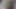 Şortlu Medi kuyruğunu sallıyor ve ben onun fotoğraflarını çekiyorum