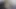 Pakistanlı Hint bengalcesi tiktok