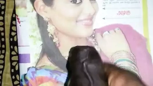 Hint aktris tamil aktris priyamani için sıcak boşalmak haraç