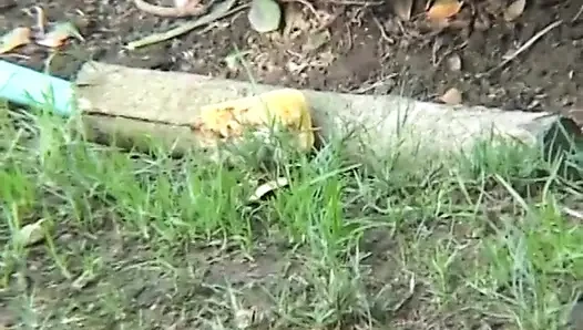 Amigo kızdaki ateşli yaşlı kız sikişiyor ve emiyor