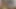 Sevimli Hintli evli kadın kocasıyla sikişiyor