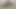 Güzel Kolombiyalı özel seçmelerde