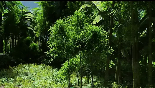 Şehvet şehri - hizmetçi patronu nasıl memnun edeceğini biliyor