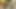 Asia twink oral seks ve duştan sonra sikiliyor