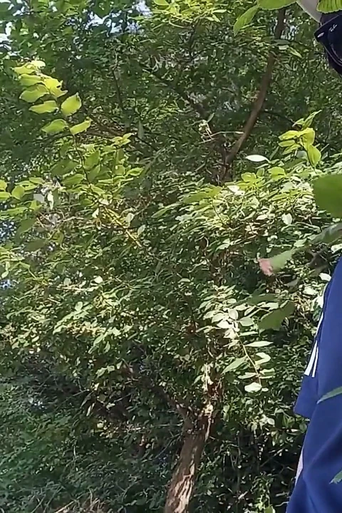 Sevimli adam Jon Arteen en ateşli işeme anlarının bu derlemesinde açık havada işiyor