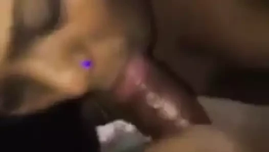 Hint bebek emme horoz