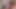 Free Use Twink Shae Reynolds Gets Double Creampied By Two Muscular Guys Full Movie - SayUncle