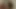 Littlevaginamouth binicilik mrbossstepdaddy büyük horoz