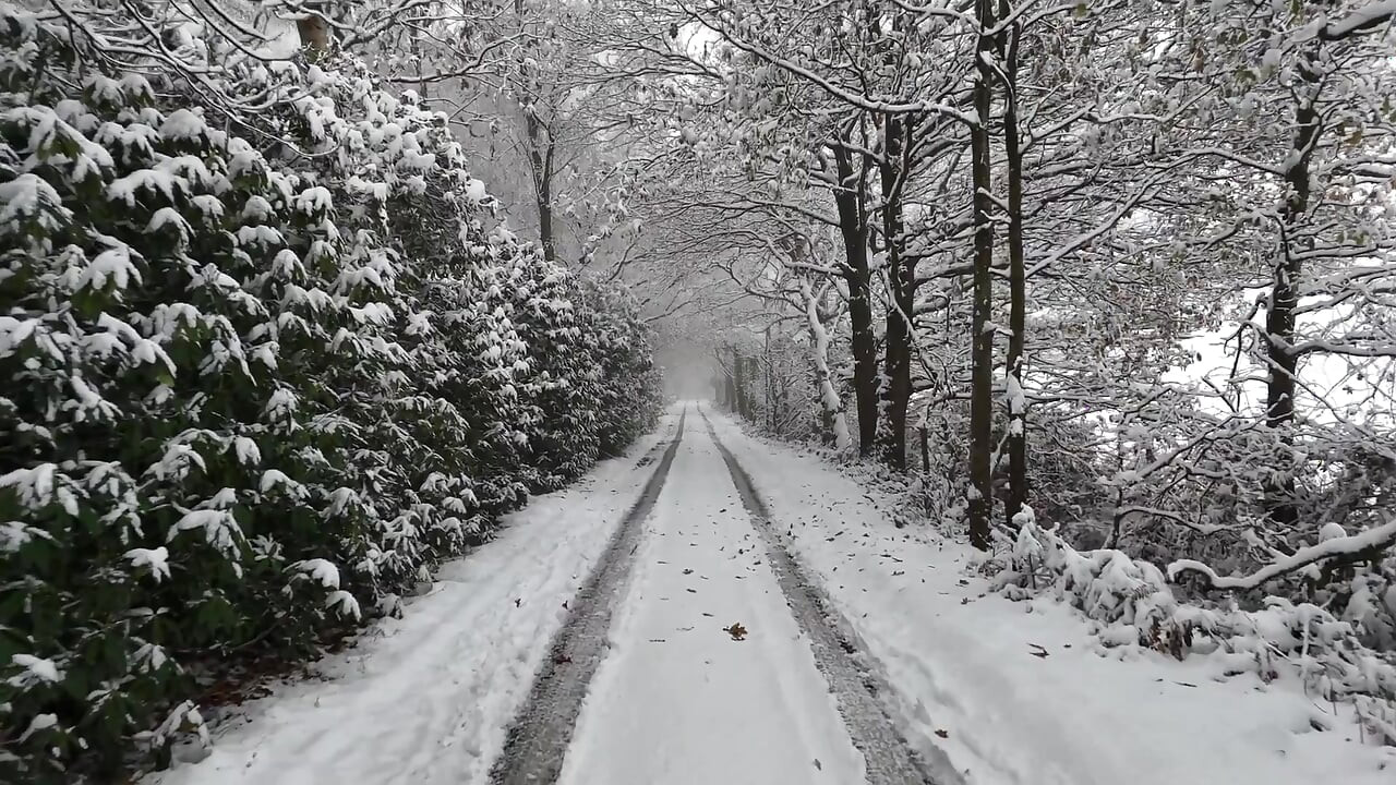 Büyük götlü piliçe boşalma
