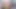 hanime girly erectus sf 91