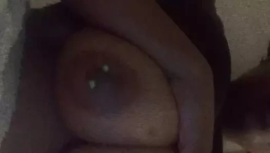 Büyük memeli pothead