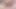 Eğitim sıfır kadın egemenliği kadın kılıklı köle sürtük fotoğraf çekimi aşağılama